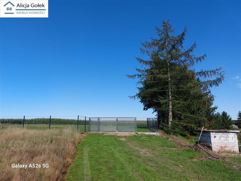 Dobre gm. Będzino działka 3.375m2 malowniczo położ (10)