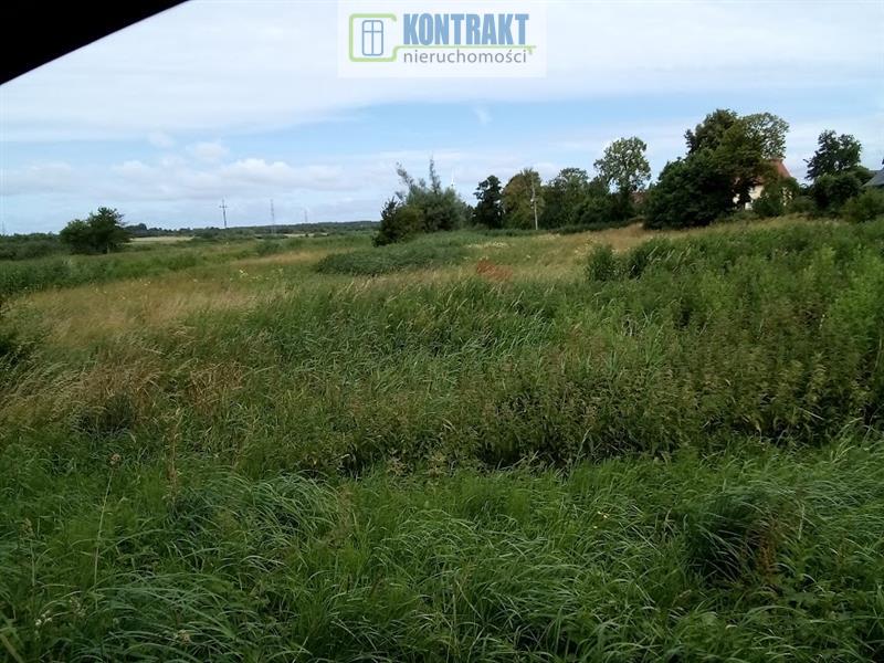 Działka - Jeżyczki  (6)