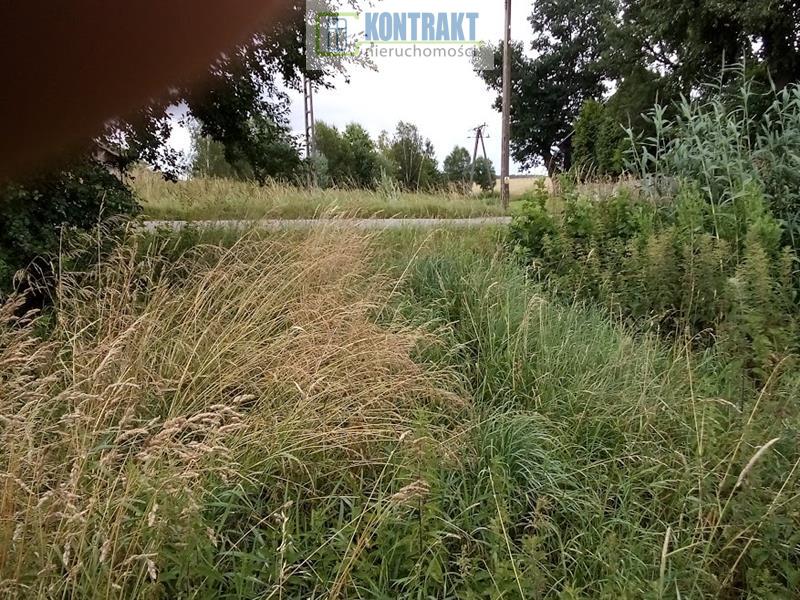 Działka - Jeżyczki  (8)