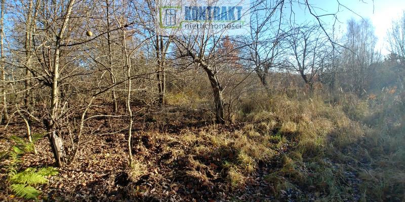 Oferta dla dewelopera (5)