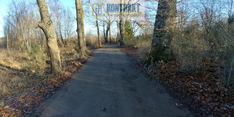 Oferta dla dewelopera (4)