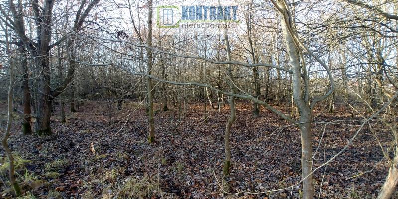 Oferta dla dewelopera (5)