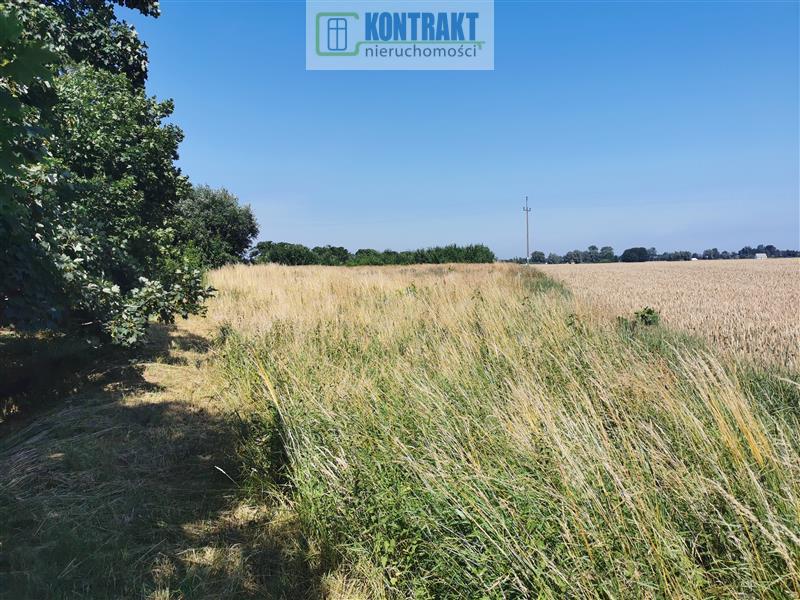 Działka - Będzinko  (10)