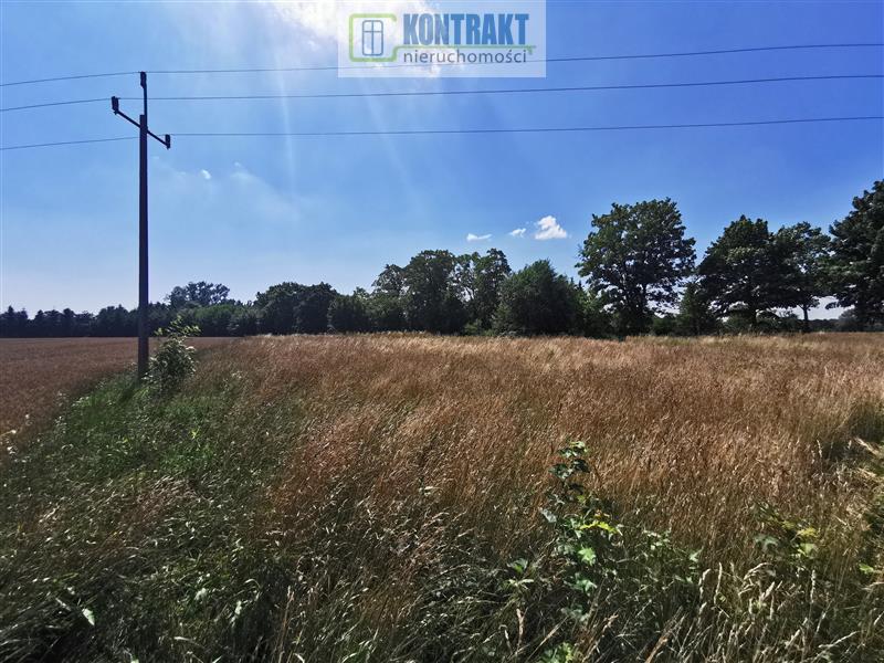 Działka - Będzinko  (11)