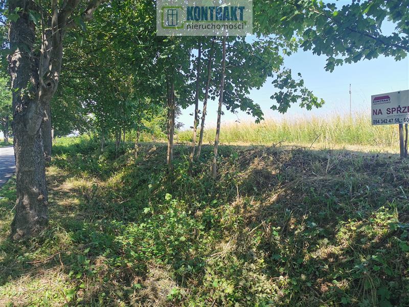 Działka - Będzinko  (12)