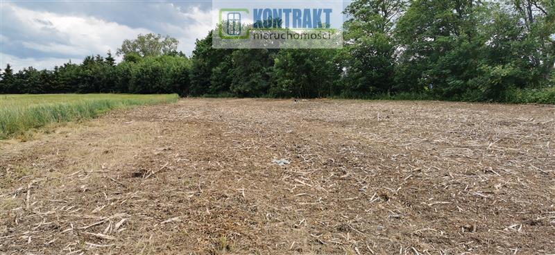 Działka - Będzinko  (2)