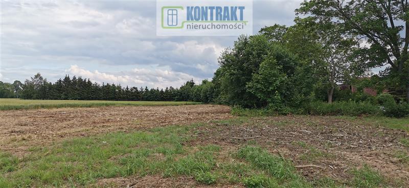 Działka - Będzinko  (4)