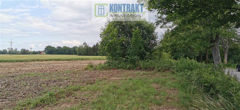 Działka - Będzinko  (6)