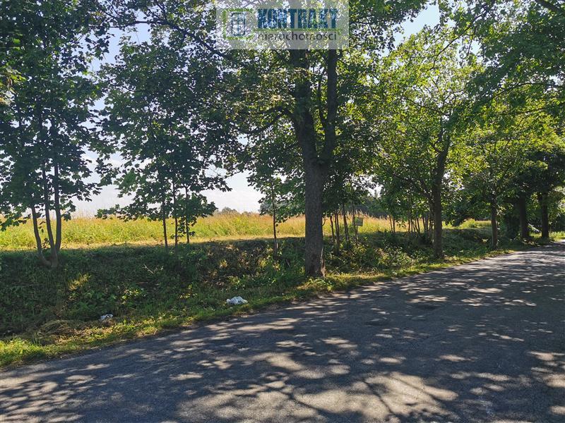 Działka - Będzinko  (7)