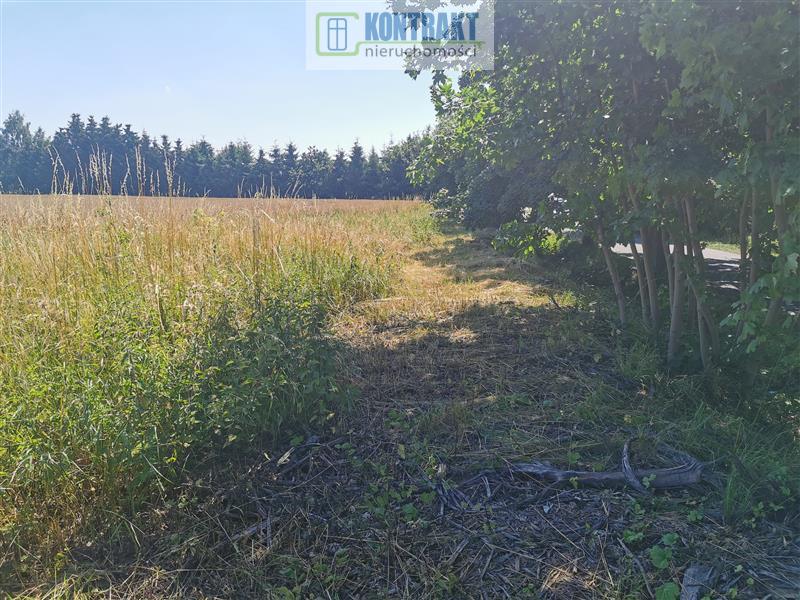 Działka - Będzinko  (8)