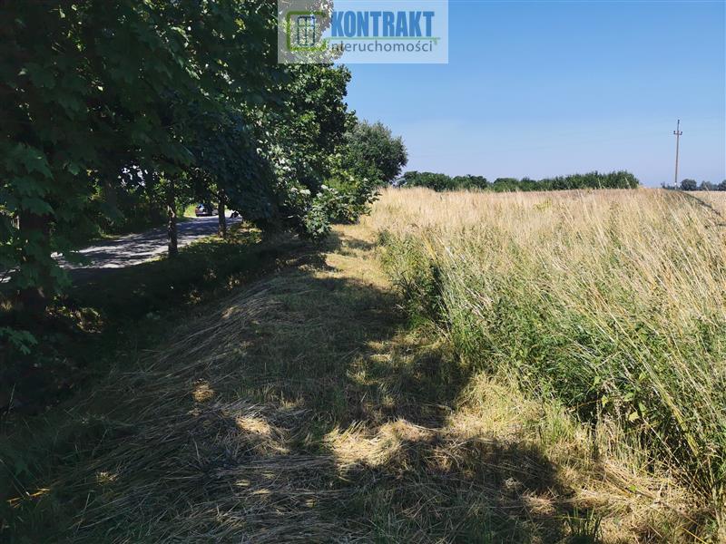 Działka - Będzinko  (9)