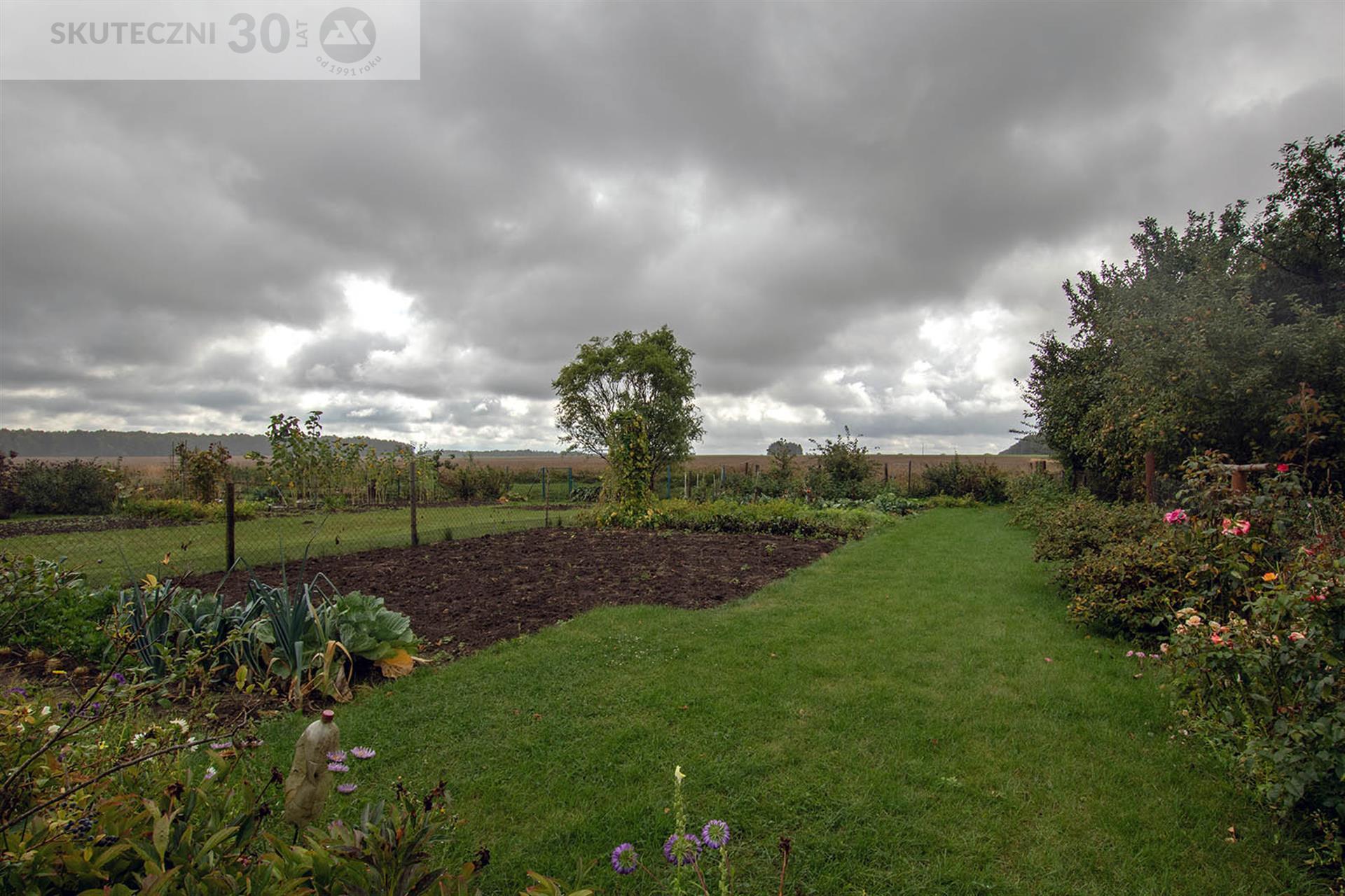 Dom szeregowy - Dadzewo  (14)