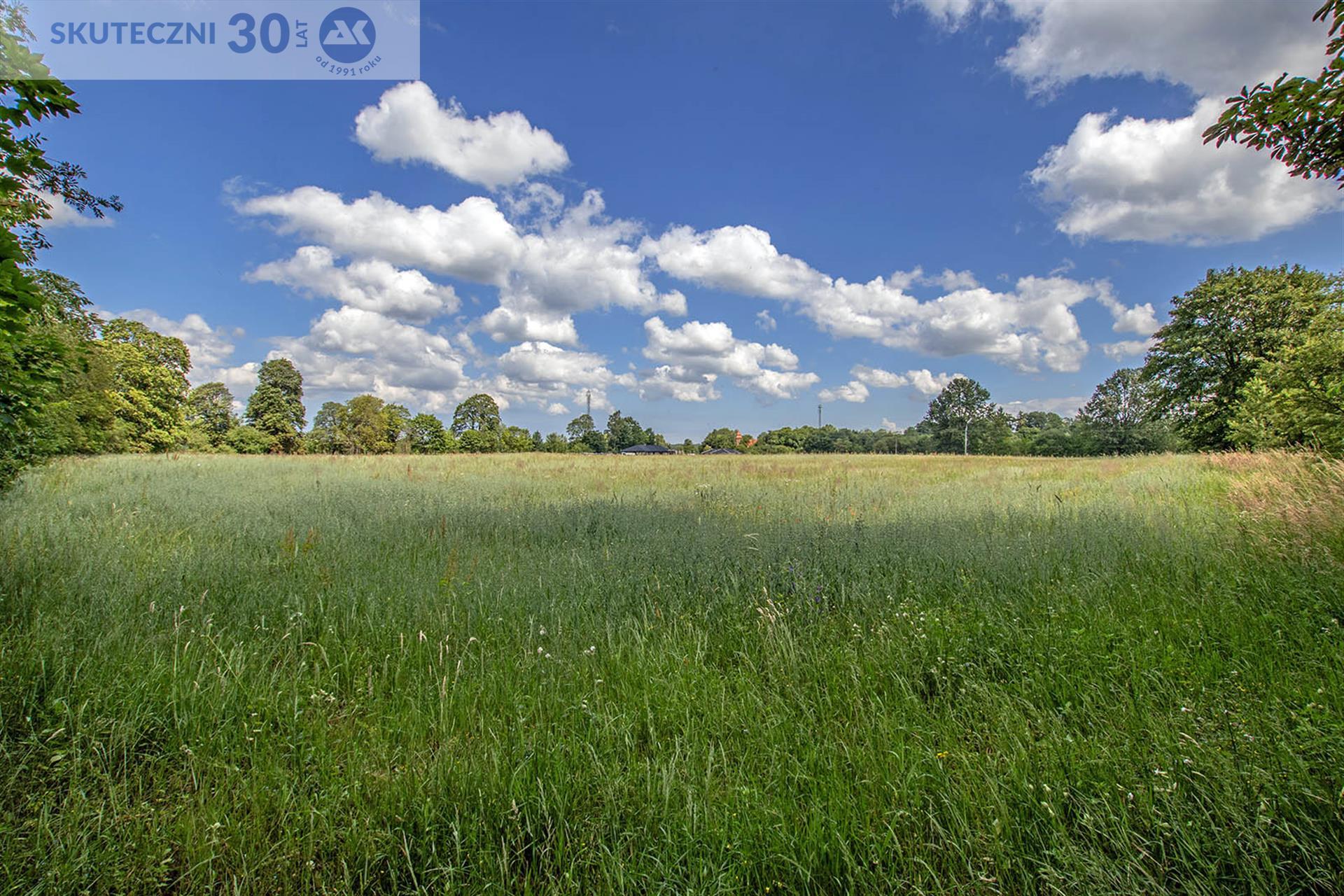 Działka - Kościernica  (7)