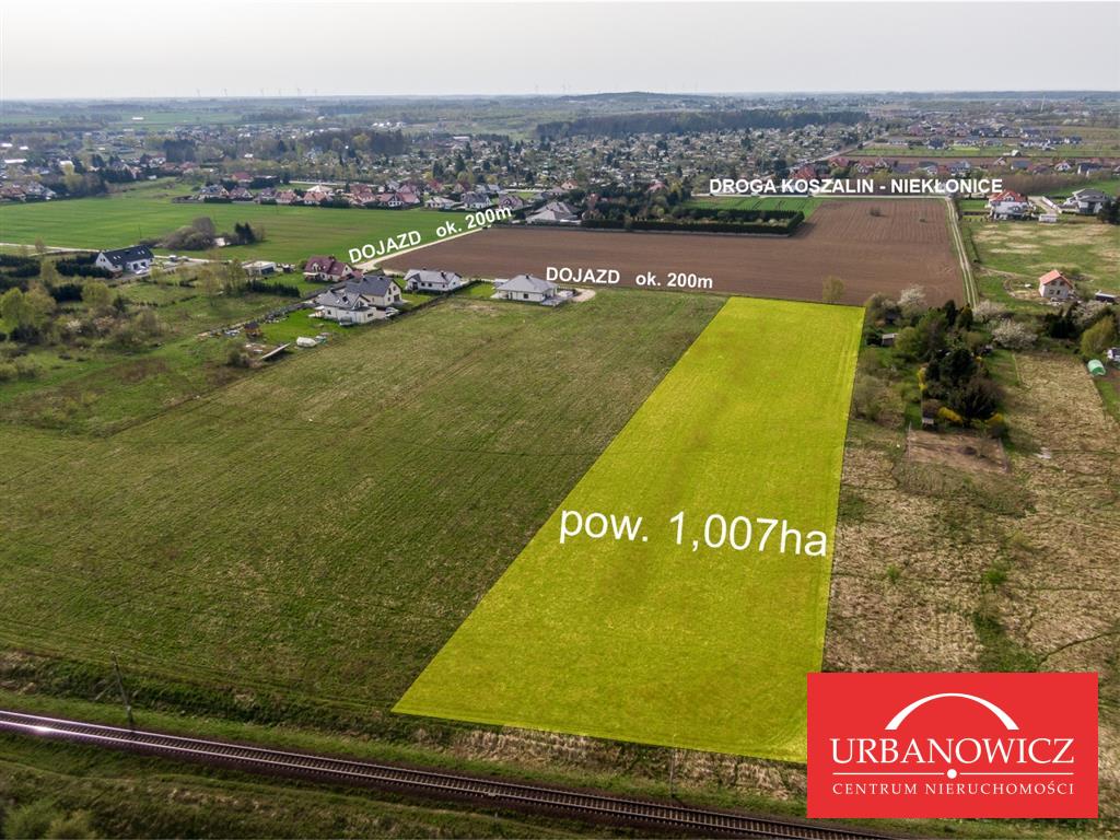 Działka - Niekłonice  (1)