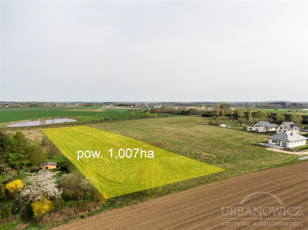 Działka - Niekłonice  (2)