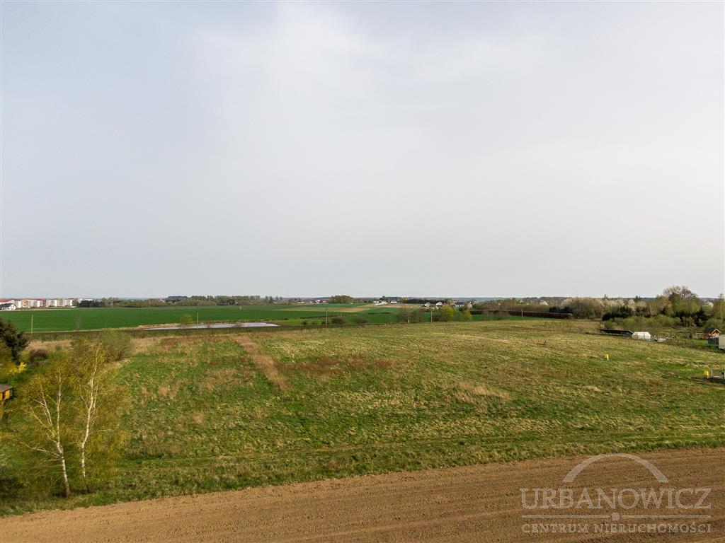 Działka - Niekłonice  (5)