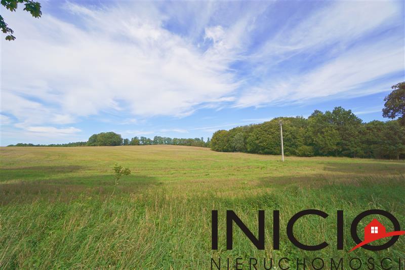 Działka - Dęborogi  (1)