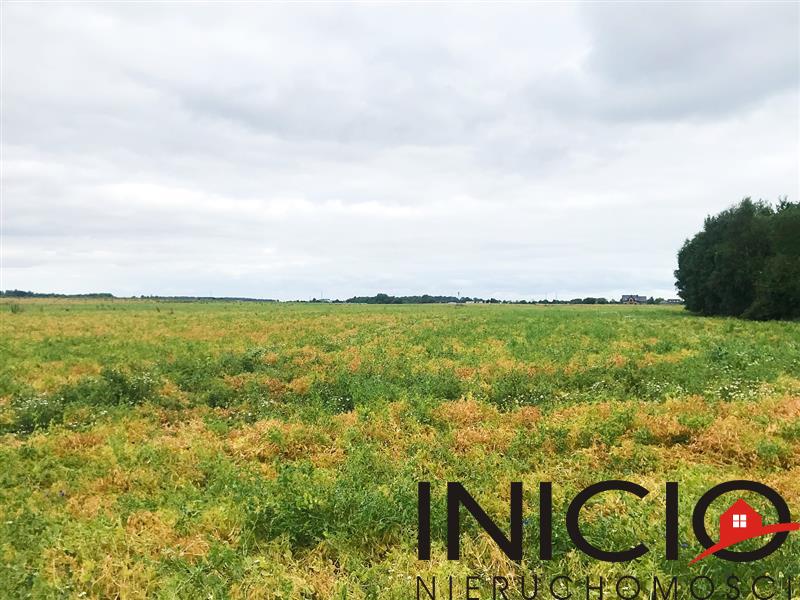 Działka - Koszalin  (7)