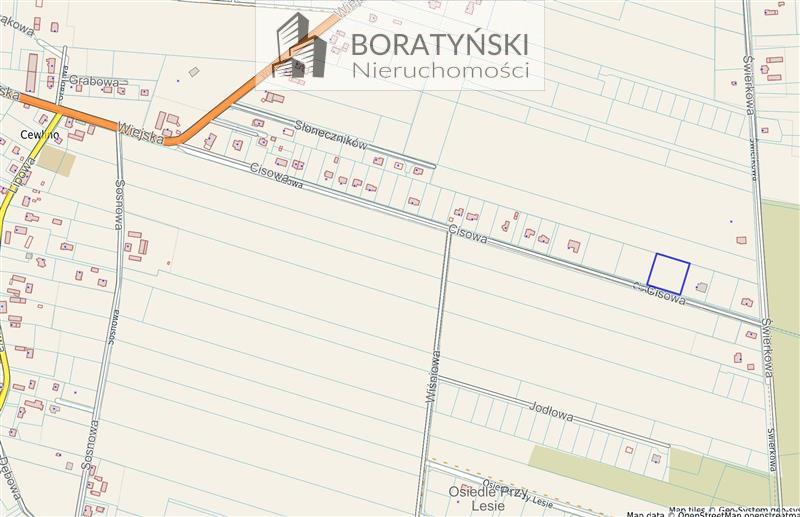 Działka z warunkami zabudowy, Cewlino (4)