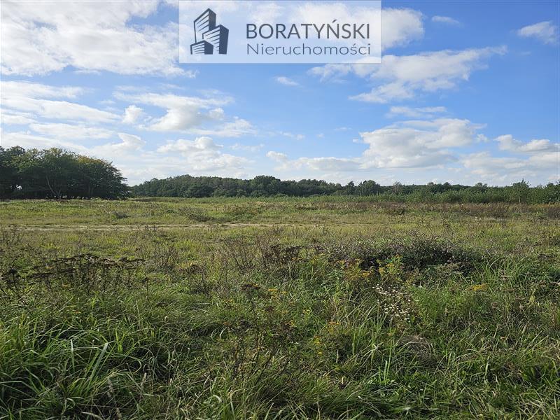 Działka - Niekłonice Niekłonice (7)