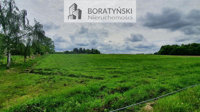 Działka budowlana - Golica  (4)