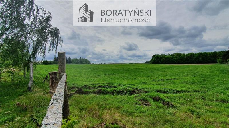 Działka budowlana - Golica  (5)