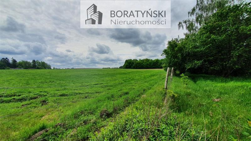 Działka budowlana - Golica  (4)