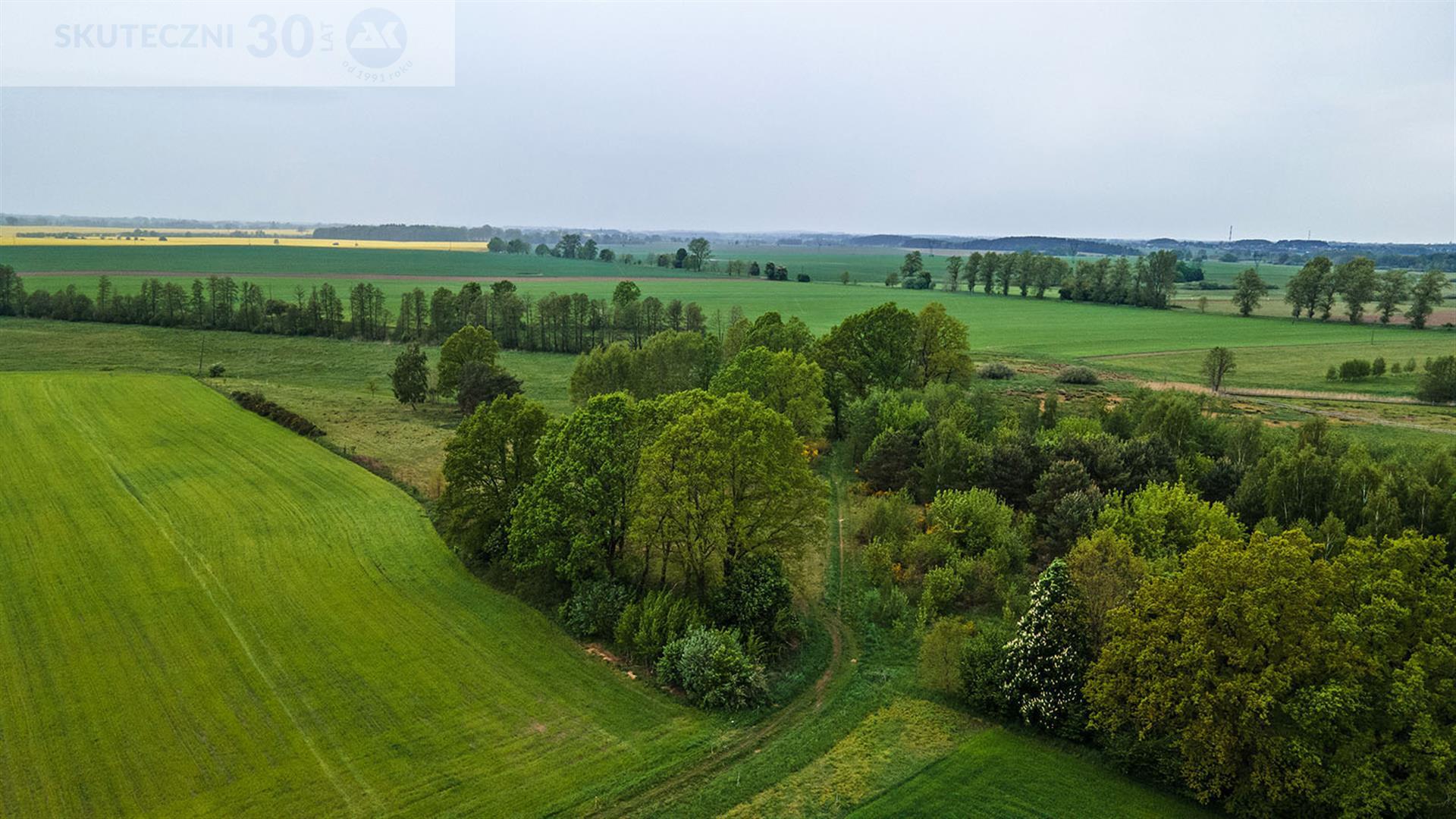 Działka - Cewlino  (3)