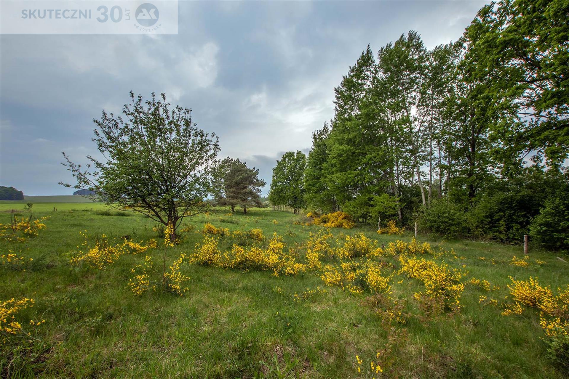 Działka - Cewlino  (5)