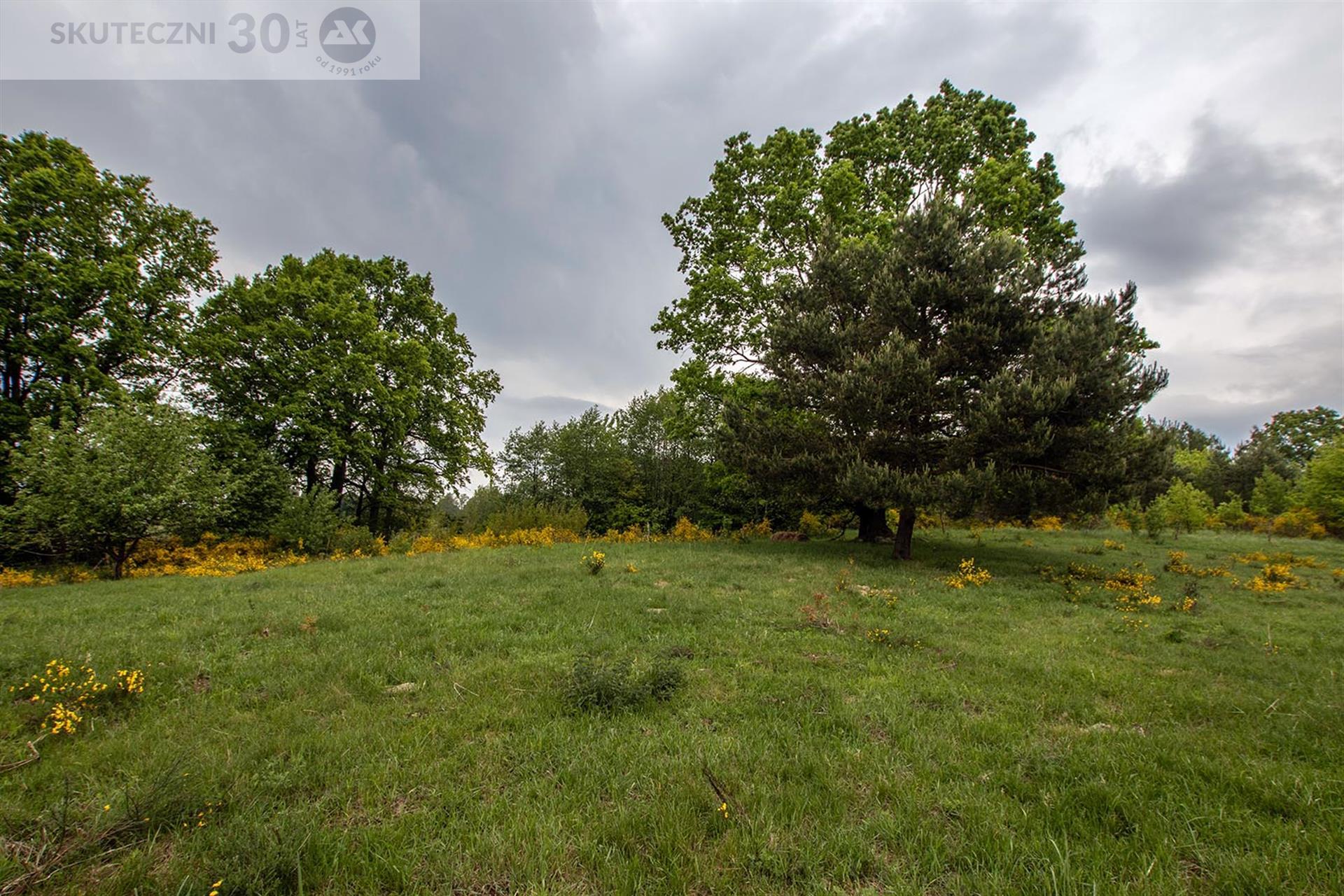 Działka - Cewlino  (6)