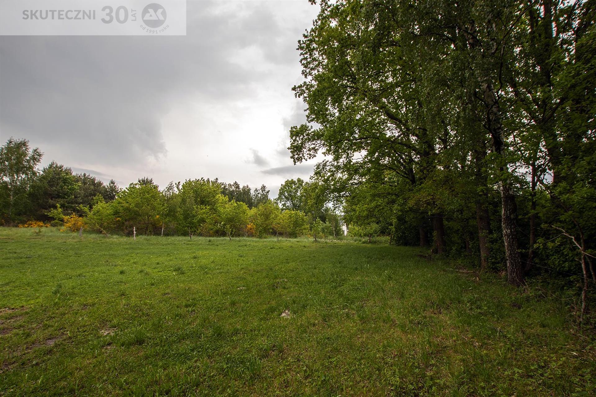 Działka - Cewlino  (7)