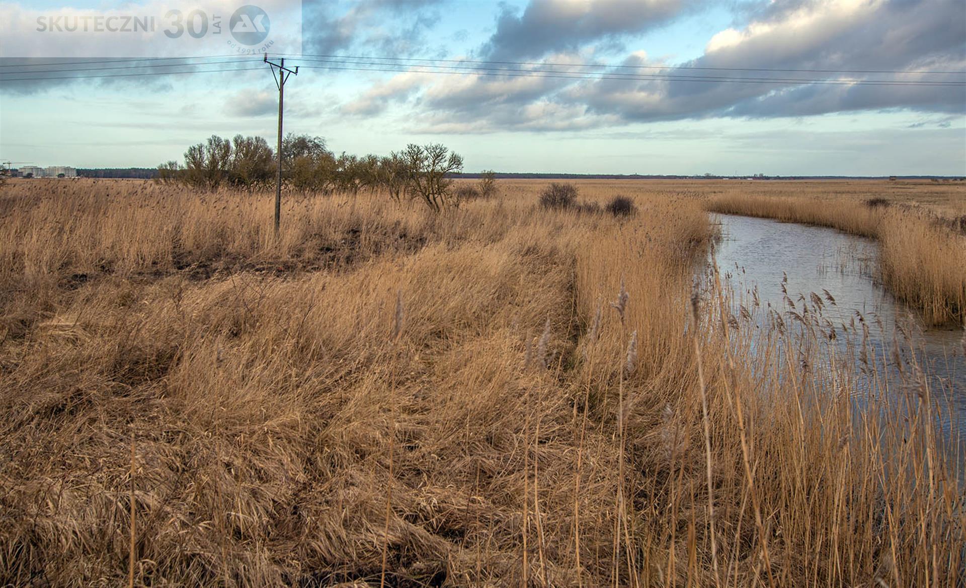 Działka - Rogowo  (2)