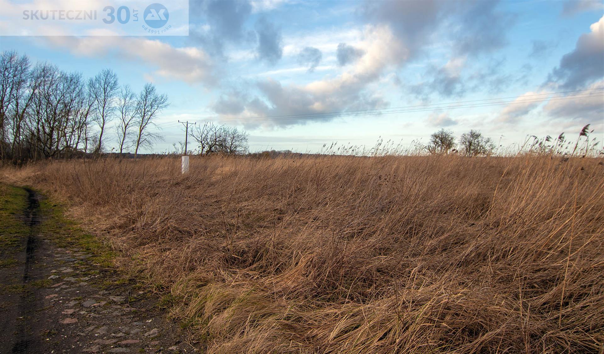 Działka - Rogowo  (4)