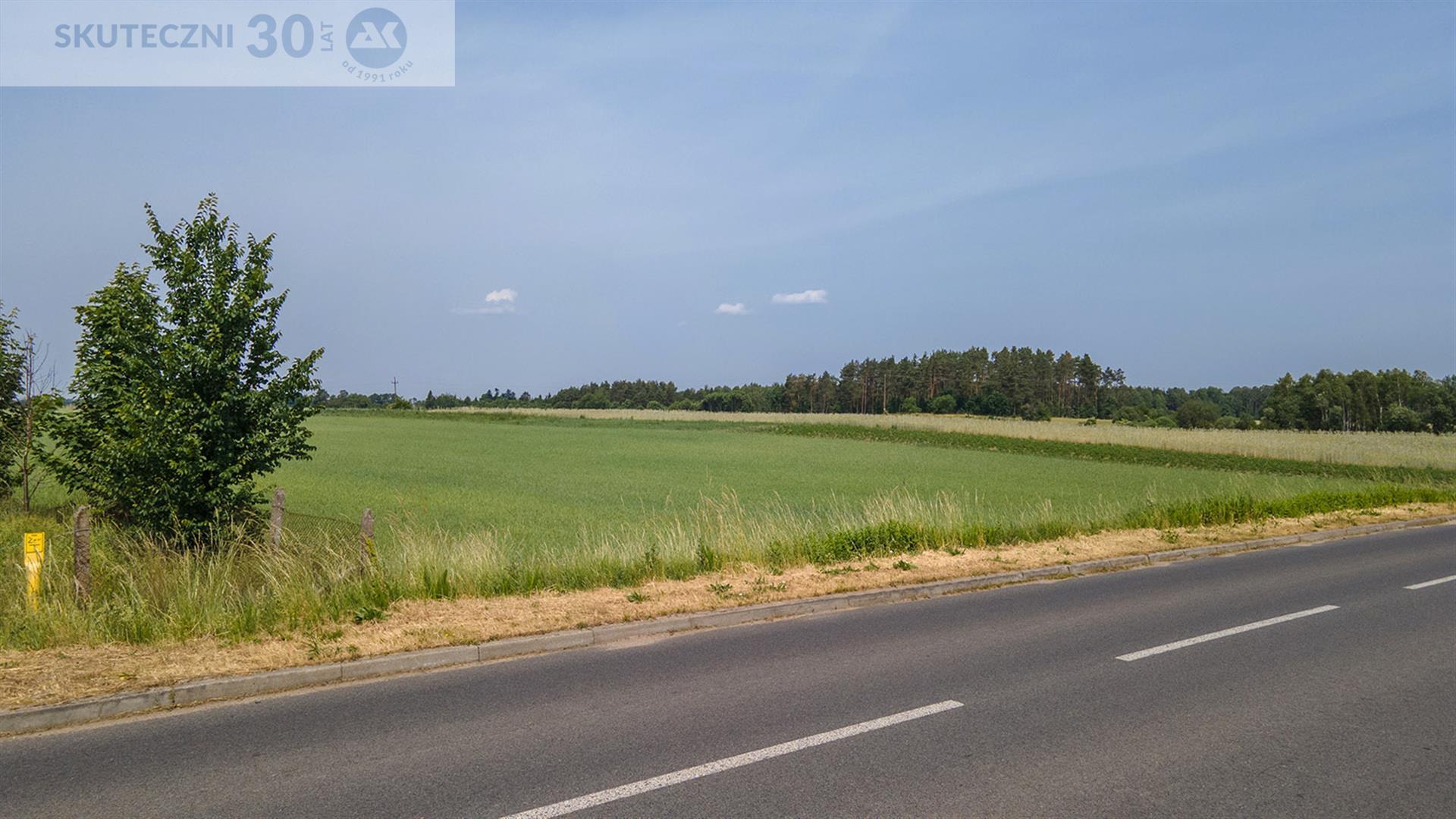 Działka - Żabinek  (4)