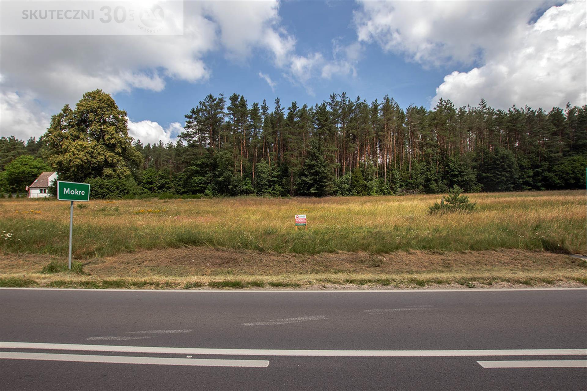 Działka - Mokre  (7)