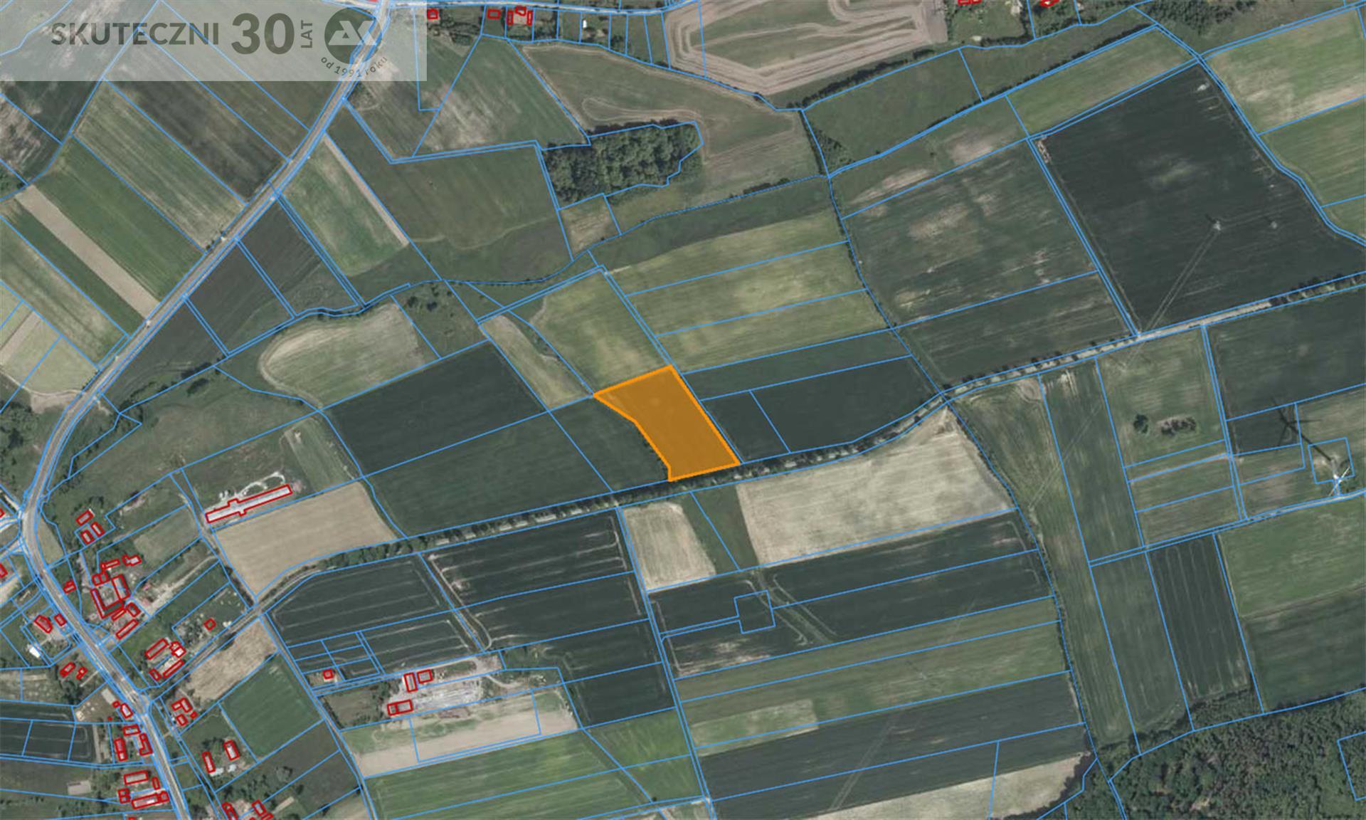 Działka rolna - Bielkowo  (2)