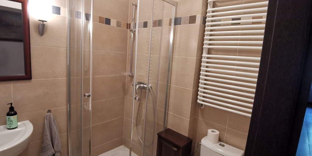 Lokal z wejściem z ulicy i witryną, centrum. (15)