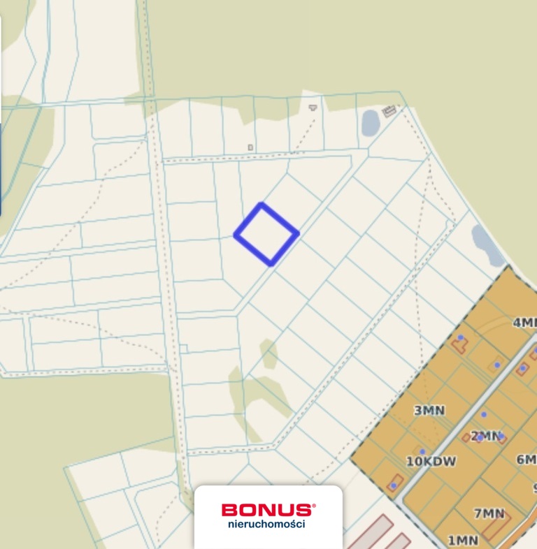 Działka rolna blisko lasu - Grzepnica (4)