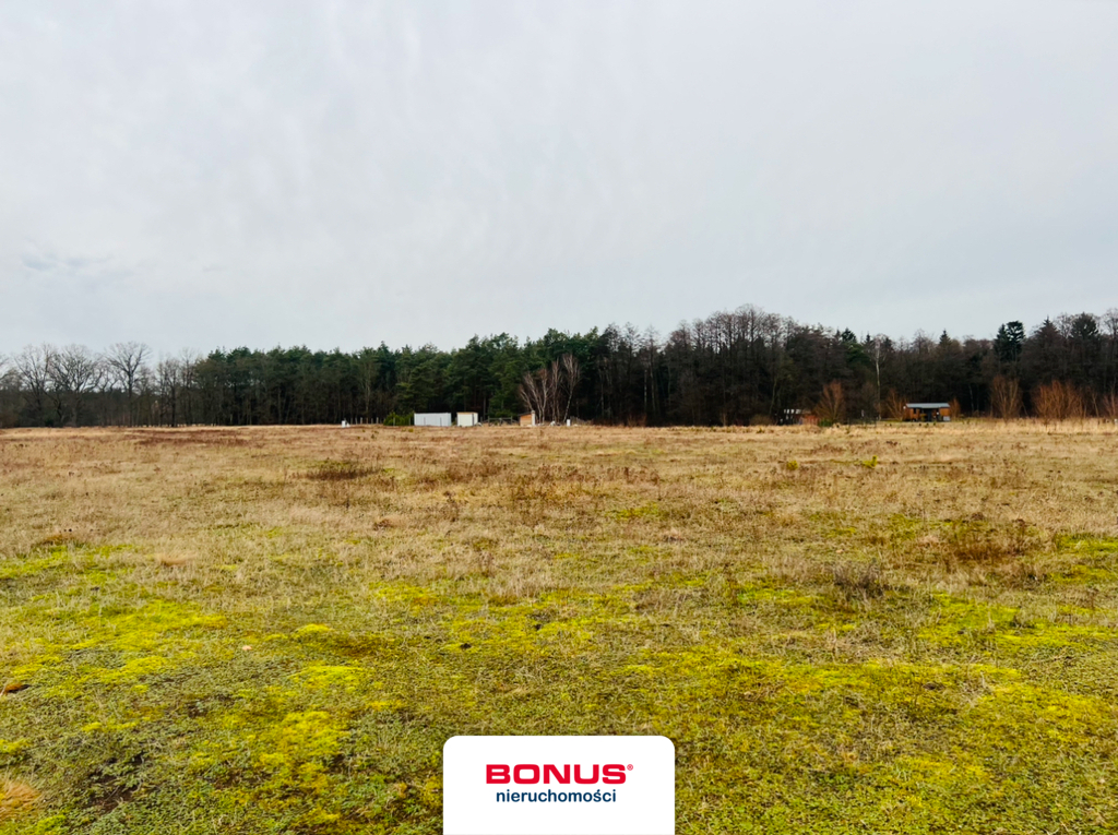 Działka rolna blisko lasu - Grzepnica (2)