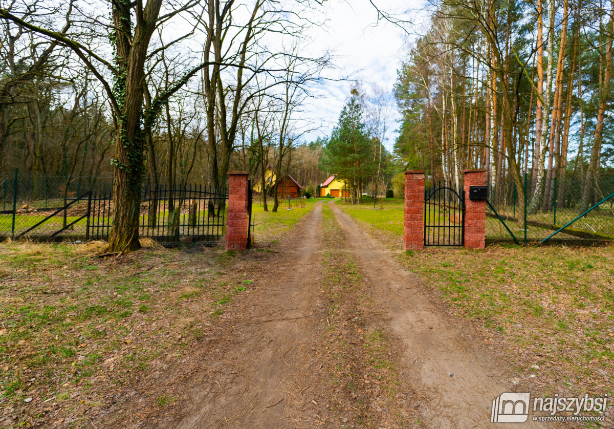 Stare Leśno - dom w sercu natury  (19)