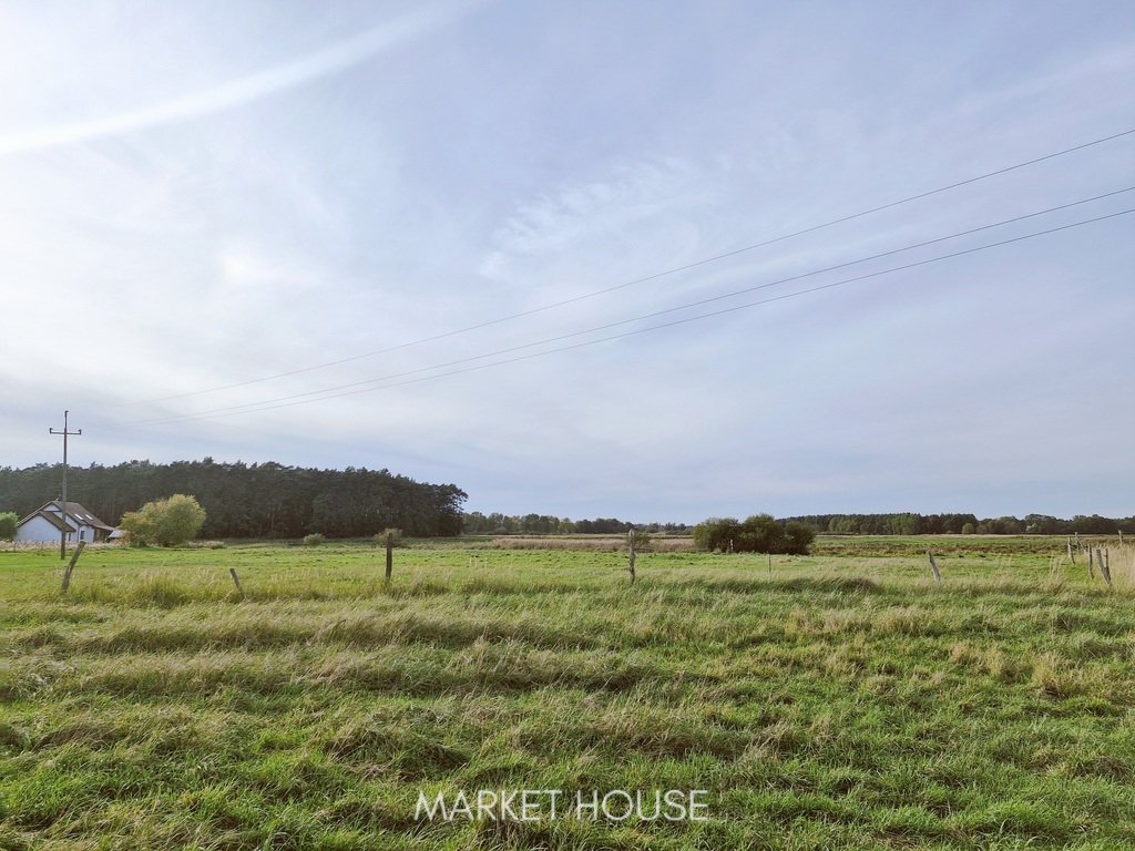 Malownicza działka przy lesie 20 min.od Szczecina (5)