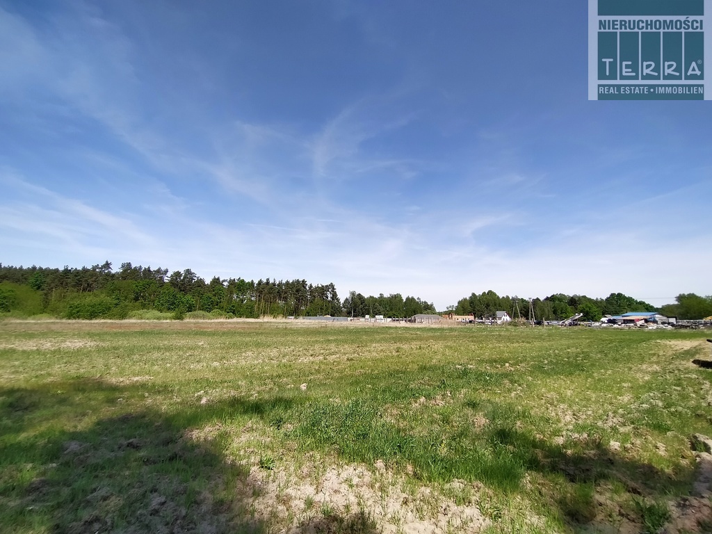 Działka rolna w Słonem. (2)