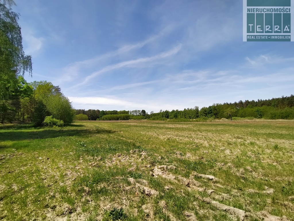 Działka rolna w Słonem. (1)