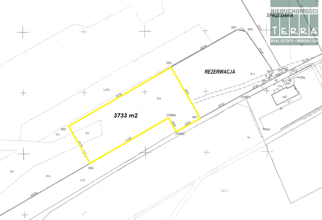 Działka rolna w Słonem. (3)