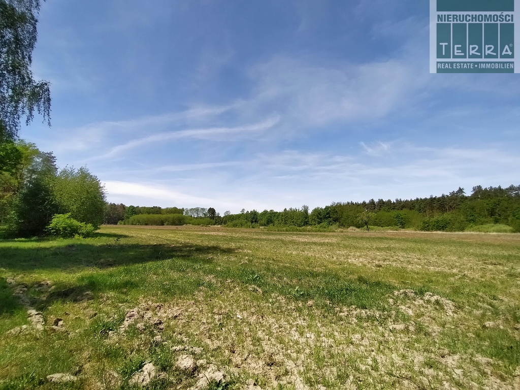 Działka rolna w Słonem. (2)