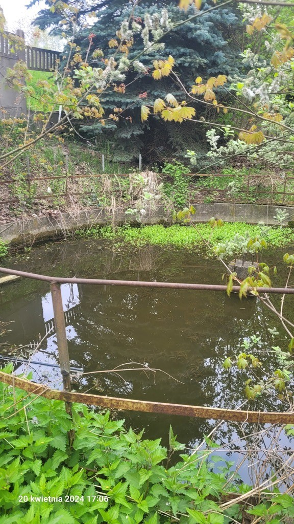 Kompleks prod.-administracyjno-socjalno-magazynowy (6)