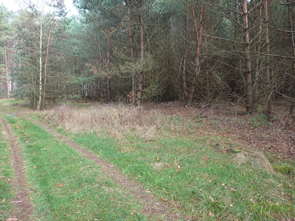 Rolno-budowlana, 4,818 m2, Starzyce  (5)