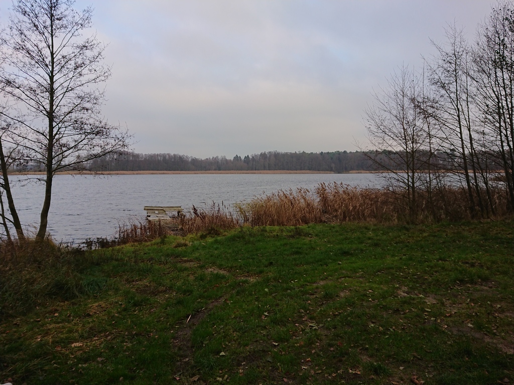 Rolno-budowlana, 4,818 m2, Starzyce  (2)