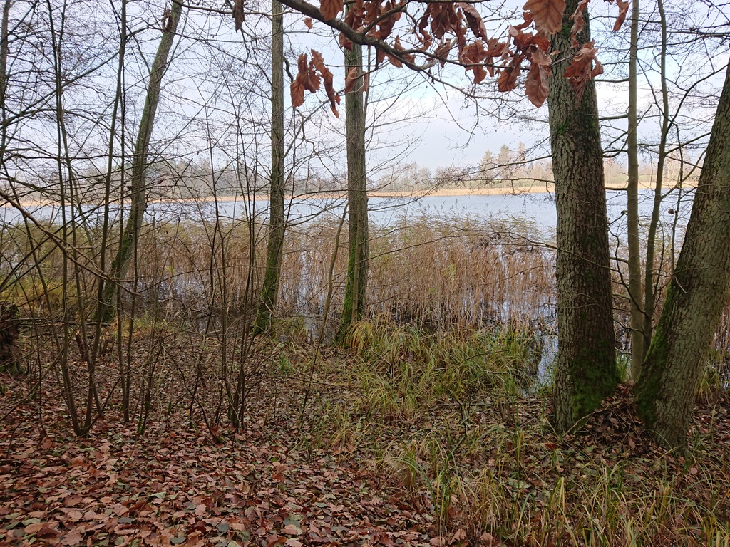 Rolno-budowlana, 4,818 m2, Starzyce  (3)