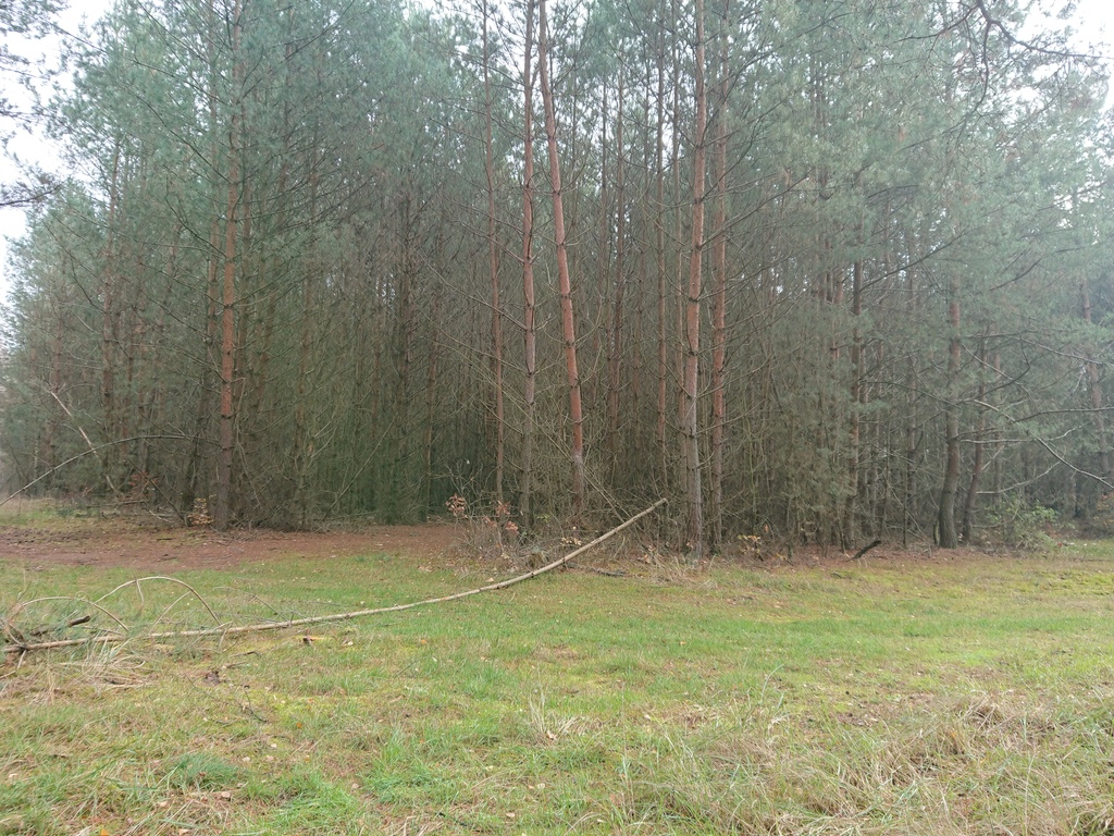 Rolno-budowlana, 4,818 m2, Starzyce  (1)